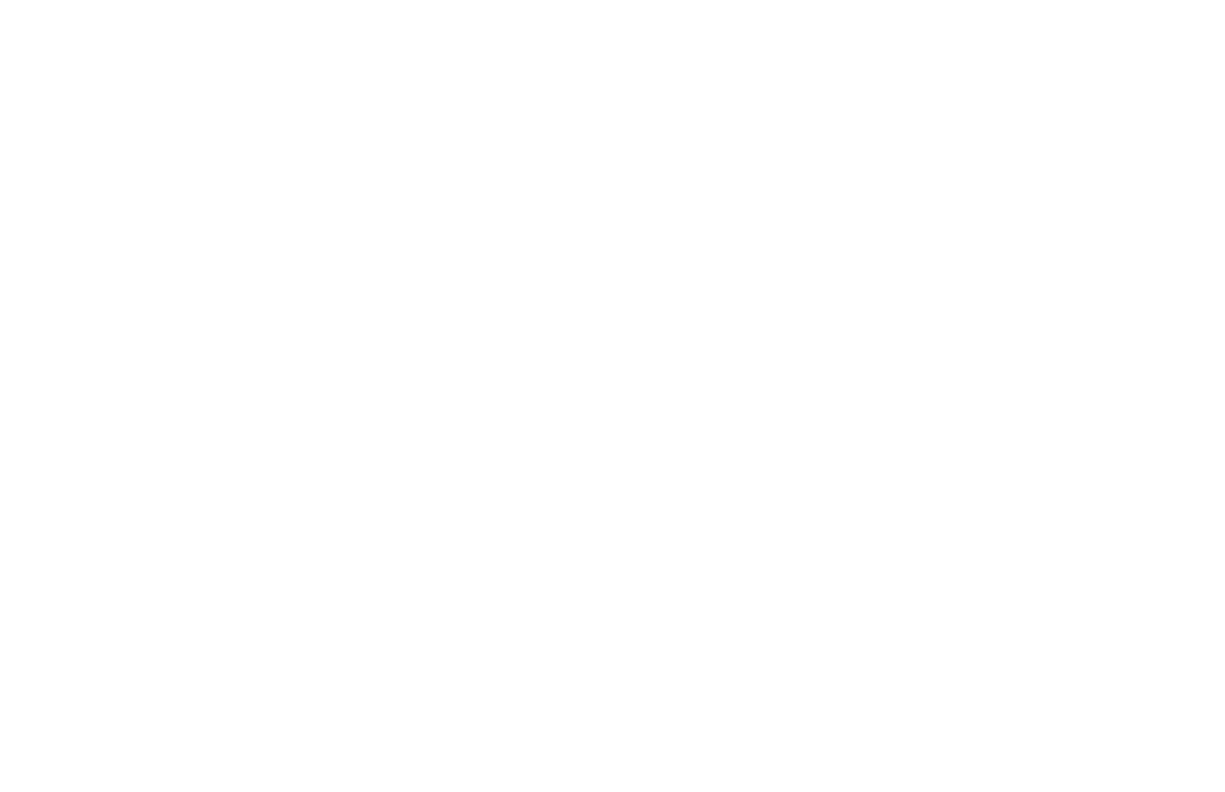 Megatech Electronics